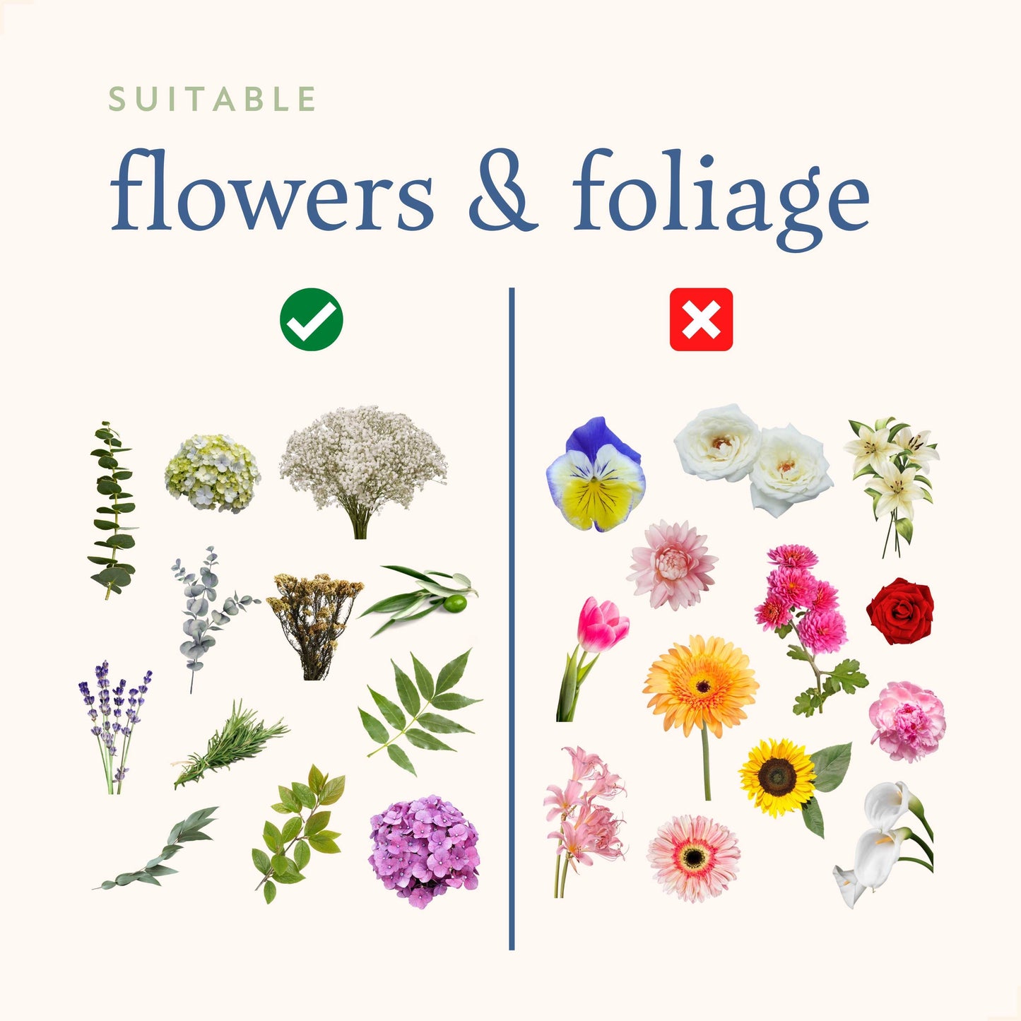 kit de préservation des fleurs et du feuillage