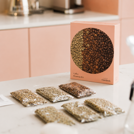 Coffee Roasting Kit
